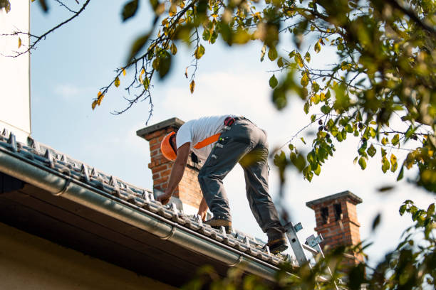 Best Roof Maintenance and Cleaning  in Waverly, OH