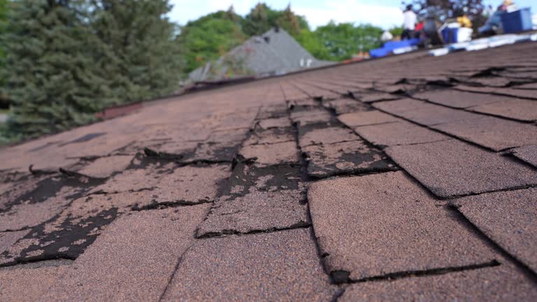 Reliable Waverly, OH Roofing Services Solutions
